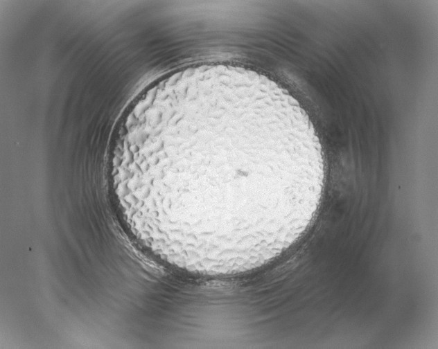 X0000077991178200611251403