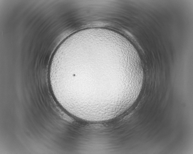 X0000077991186200611251403
