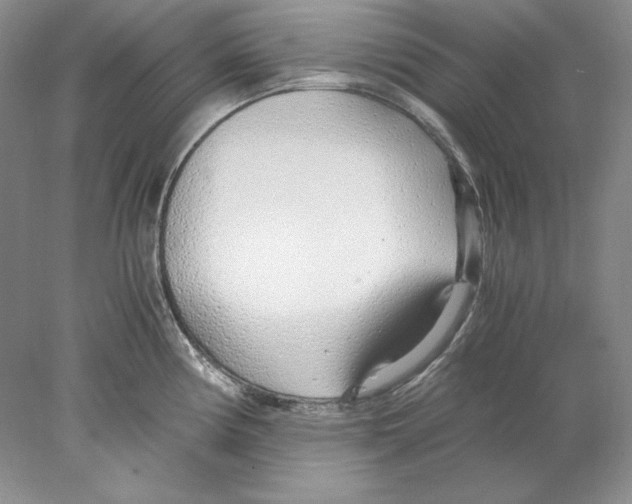 X0000077991194200611251403