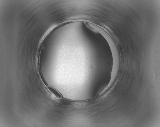 X0000077991196200611251403