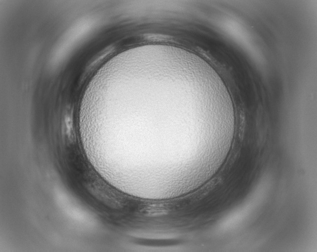 X0000077991198200611251403