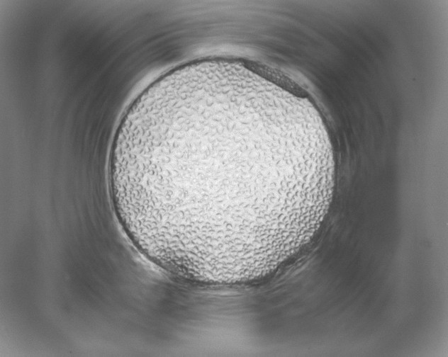 X0000077991199200611251403