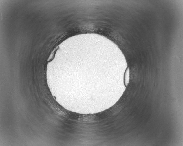 X0000077991201200611251402