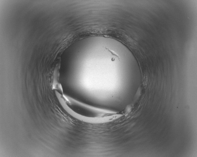 X0000077991202200611251402