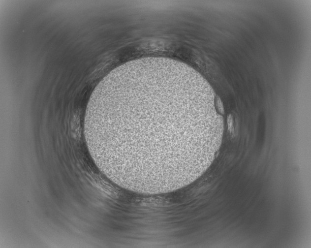X0000077991203200611251402