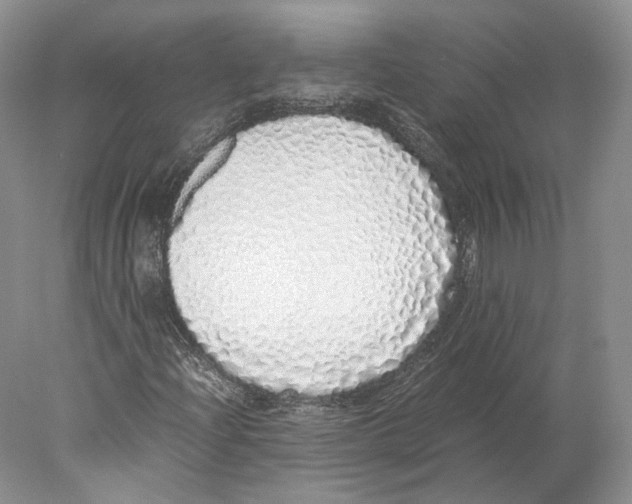 X0000077991204200611251402