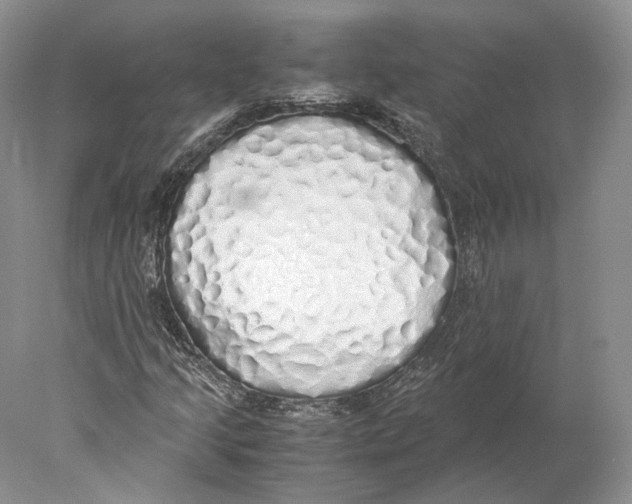 X0000077991205200611251402