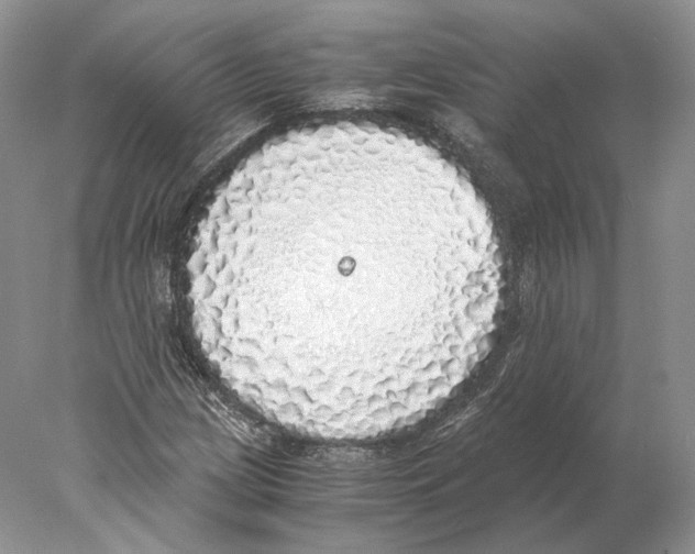 X0000077991209200611251402