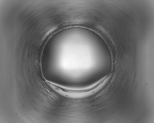 X0000077991210200611251402