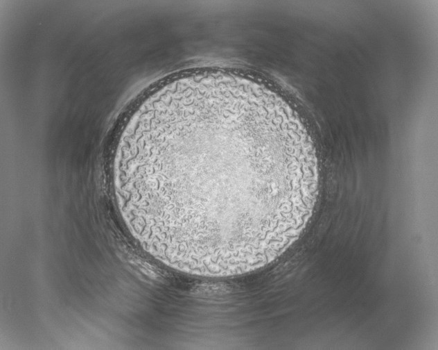 X0000077991215200611251402