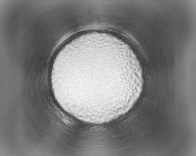 X0000077991216200611251402