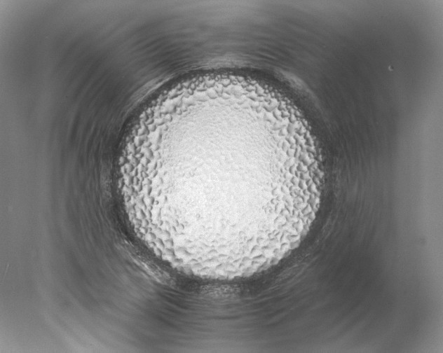 X0000077991217200611251402