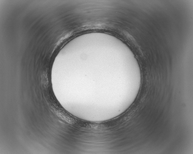 X0000077991218200611251402
