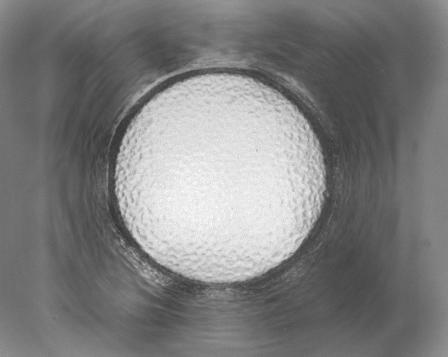 X0000077991220200611251403