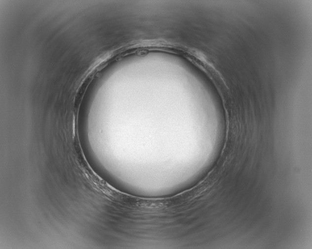 X0000077991221200611251403