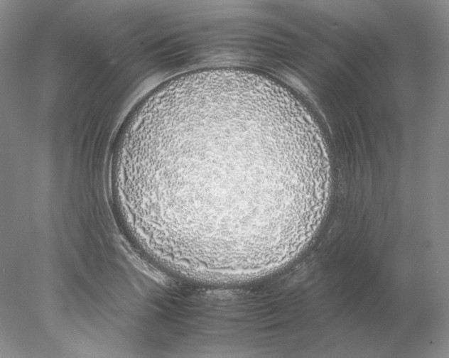 X0000077991227200611251403