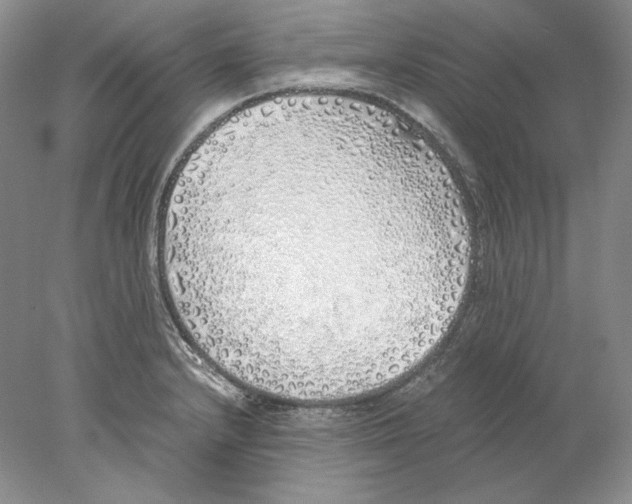 X0000077991232200611251403