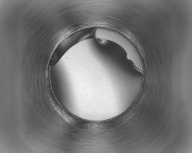 X0000077991234200611251403