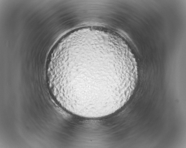 X0000077991236200611251403
