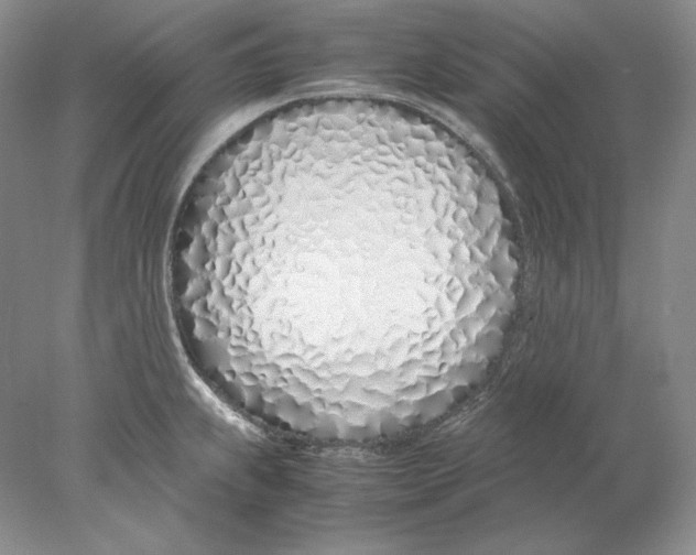 X0000077991239200611251403