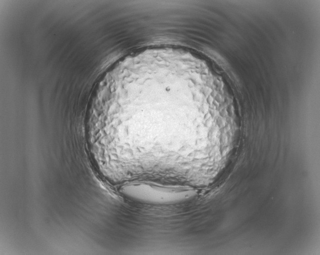X0000077991241200611251403