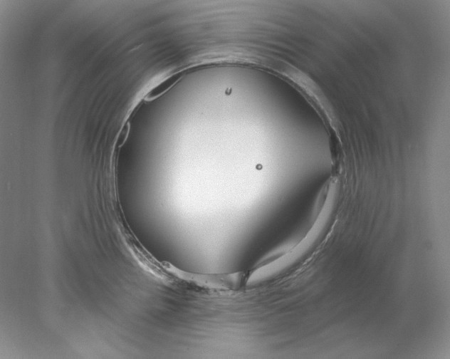 X0000077991242200611251403