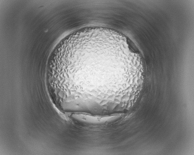 X0000077991245200611251403
