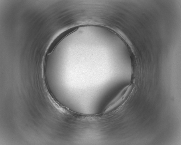 X0000077991246200611251403
