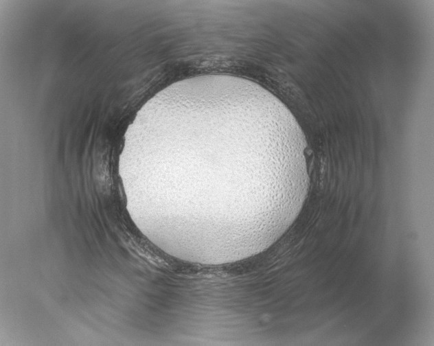 X0000077991250200611251402