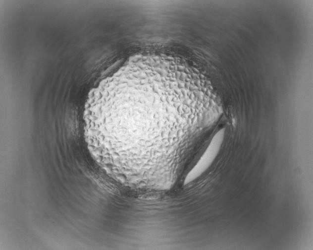 X0000077991252200611251402