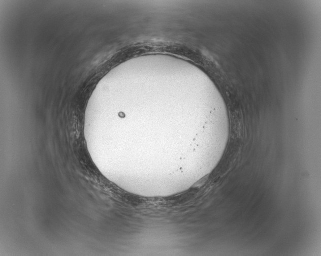 X0000077991253200611251402