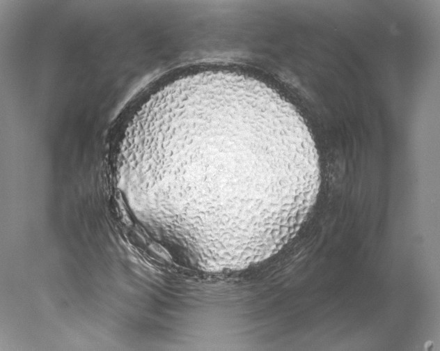 X0000077991256200611251402