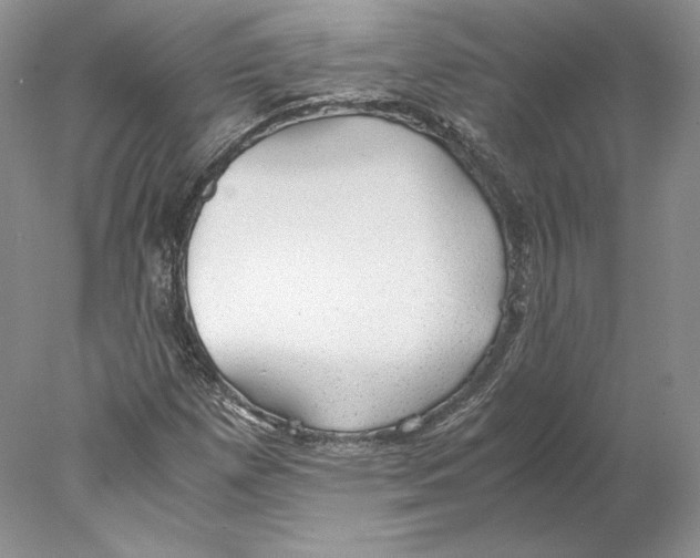 X0000077991257200611251402