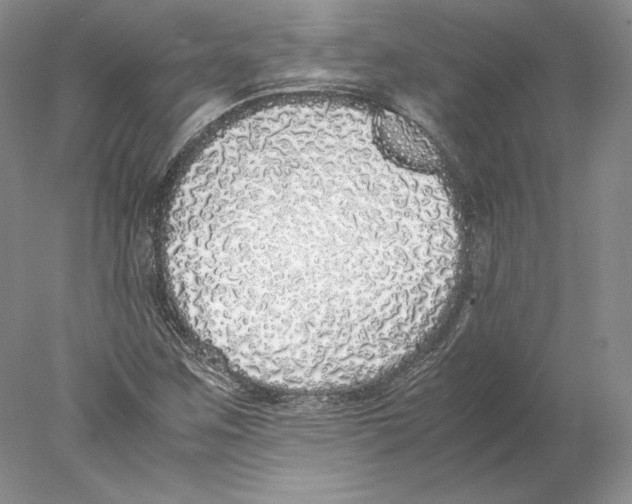 X0000077991259200611251402
