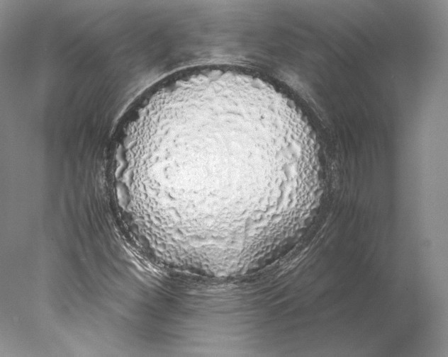 X0000077991260200611251402
