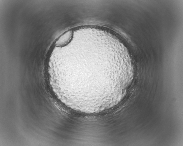 X0000077991264200611251402