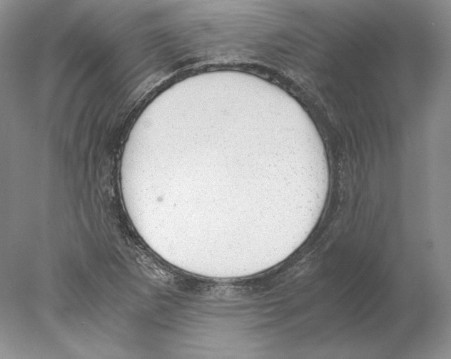 X0000077991265200611251402