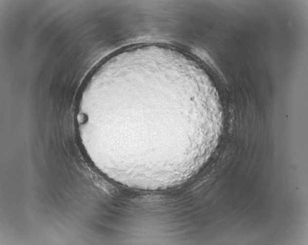 X0000077991268200611251402