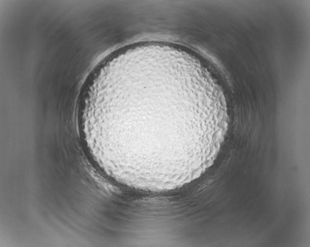 X0000077991272200611251402