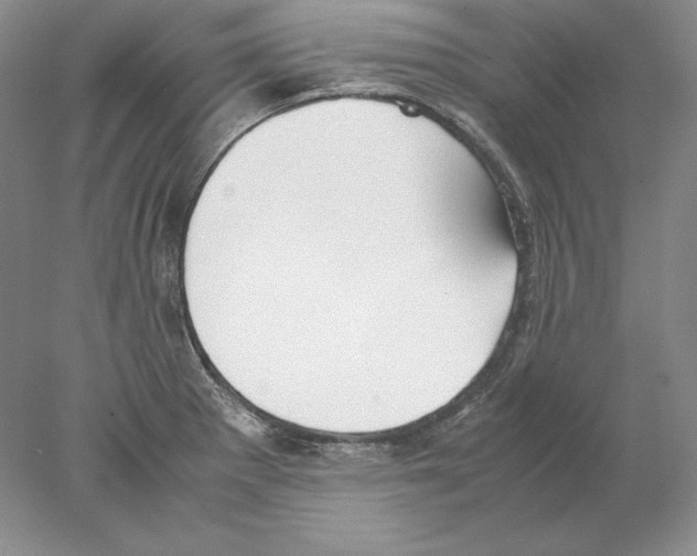 X0000077991281200611251402