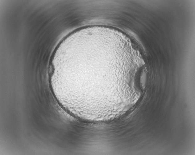 X0000077991288200611251402