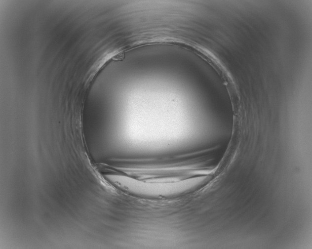 X0000077991289200611251402