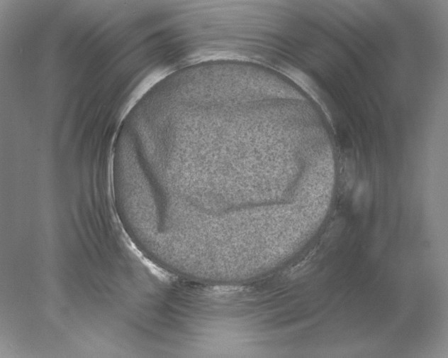 X0000077991290200611251401