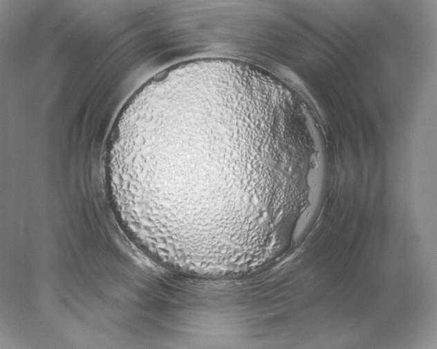 X0000077991292200611251401