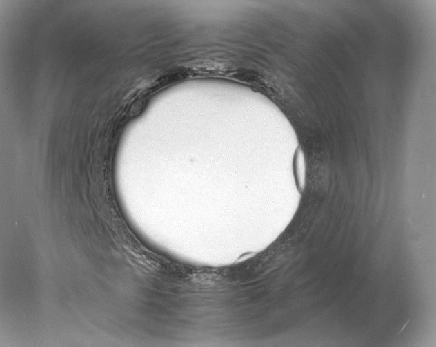 X0000077991297200611251401