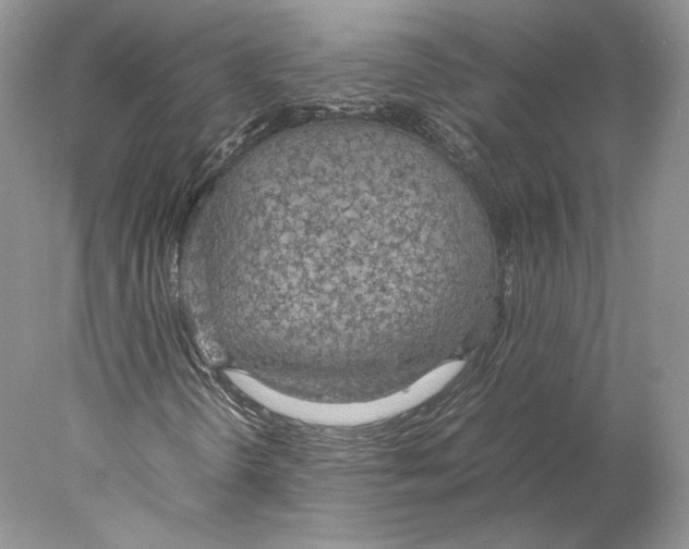 X0000077991298200611251401