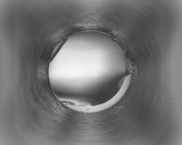 X0000077991300200611251401