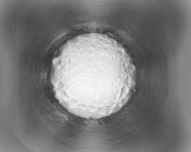 X0000077991302200611251401