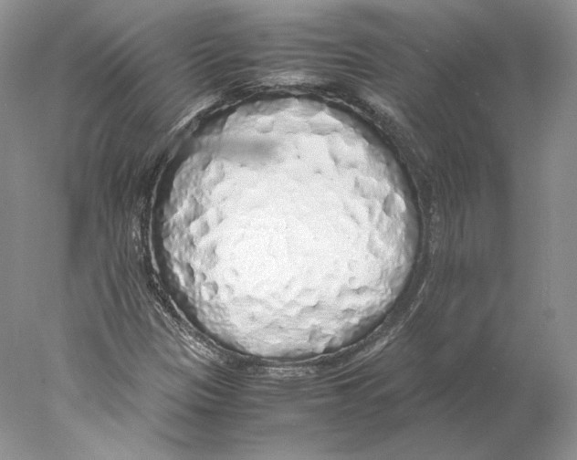 X0000077991305200611251401