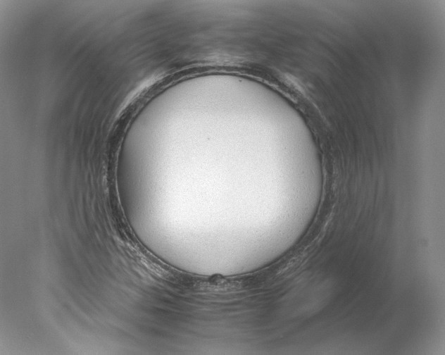 X0000077991307200611251401